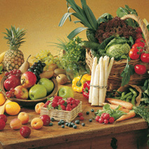 Gesundheit » Ernährungsreport 2017 Gesundheit » Ernährungsreport 2017