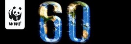 Earth Hour » Zeichen für den Klimaschutz Earth Hour » Zeichen für den Klimaschutz