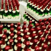Deutschland » 70,3 Millionen Liter Sekt importiert Deutschland » 70,3 Millionen Liter Sekt importiert