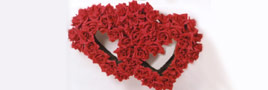 Deutschland » 323 Hektar Rosen zum Valentinstag Deutschland » 323 Hektar Rosen zum Valentinstag